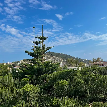 Pettas * Zakynthos stad