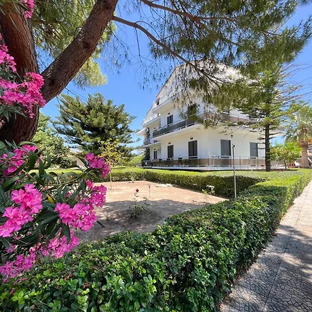 Pettas Zakynthos stad